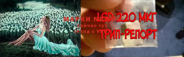 таблы Богородицк