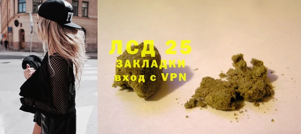 PSILOCYBIN Белокуриха