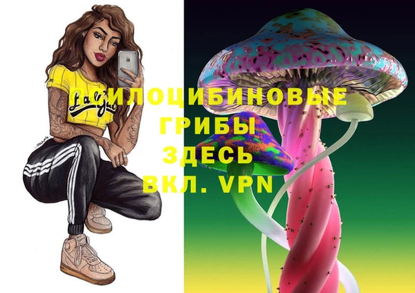 прущие крисы Бугульма